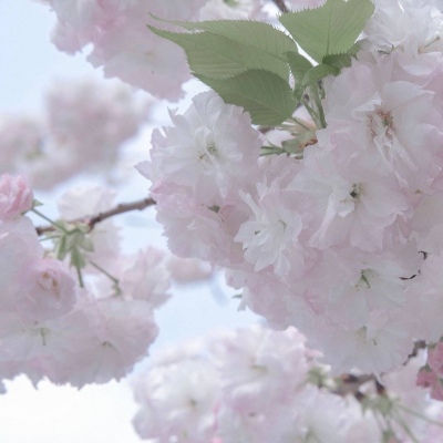 兽设洞穴场景设计FurryQQ群